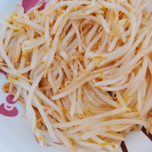 レンジで簡単！ごま油香るもやしナムル